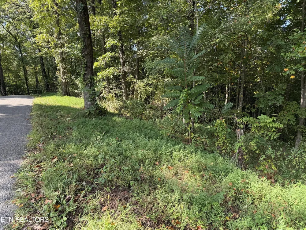 2235 Moore Knob Rd Allardt, TN 38504