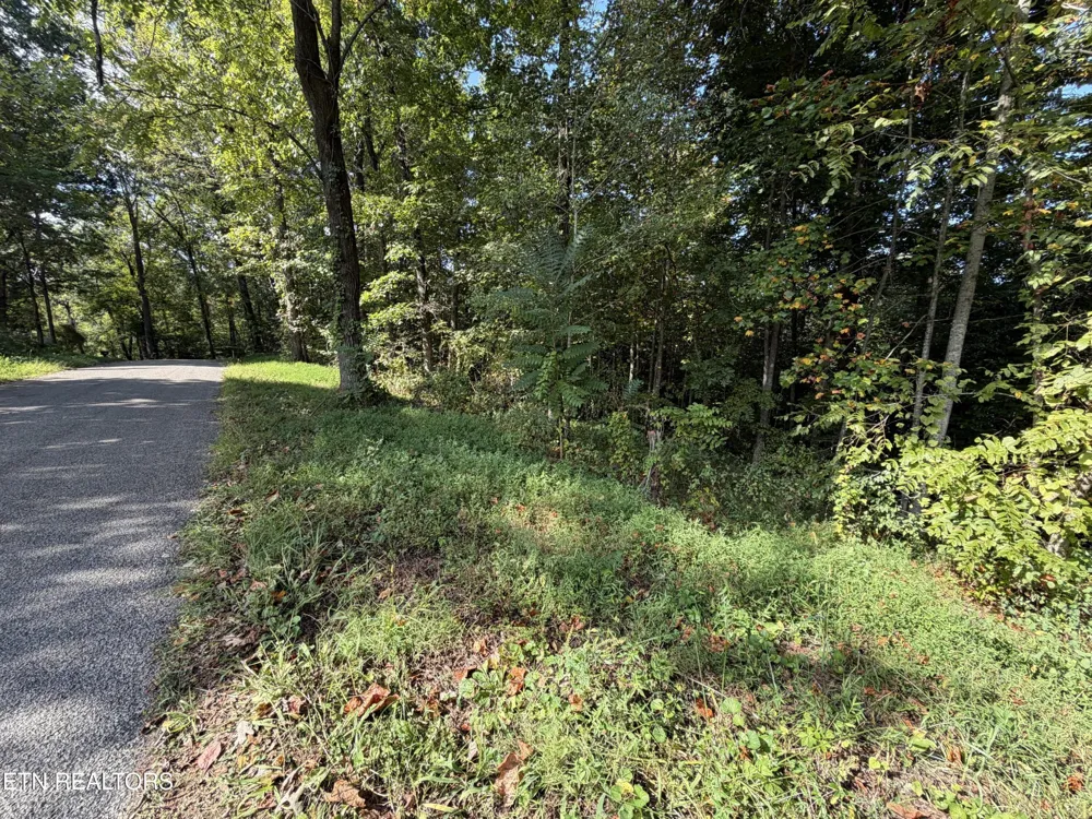 2235 Moore Knob Rd Allardt, TN 38504