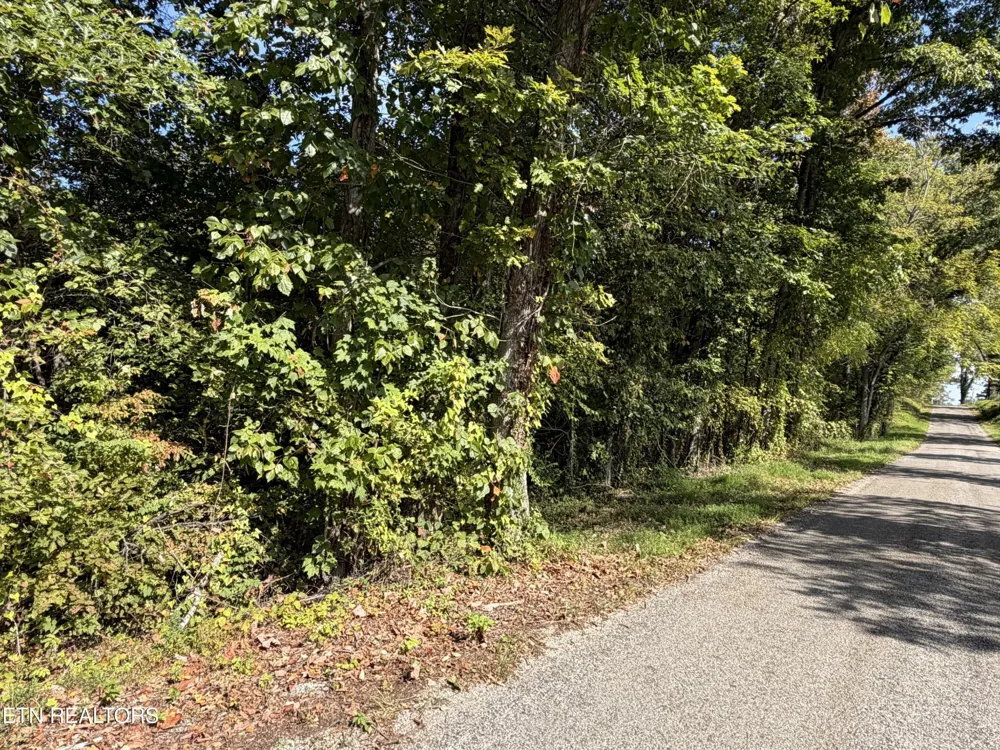 2235 Moore Knob Rd Allardt, TN 38504