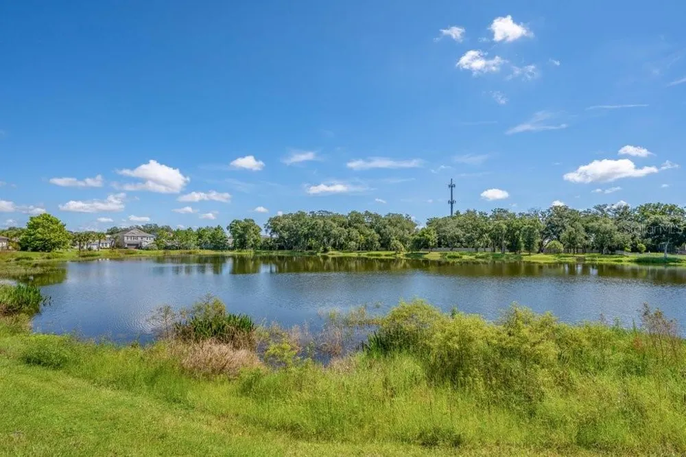 5412 CAMBERWELL LANE Riverview, FL 33578