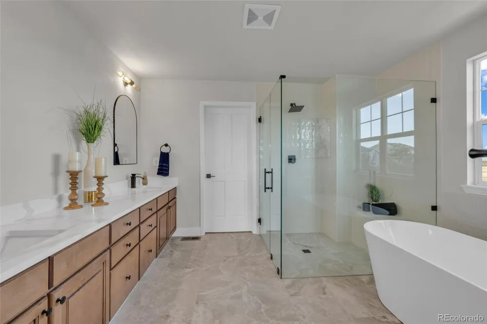 858 Dutton Court Castle Rock, CO 80104