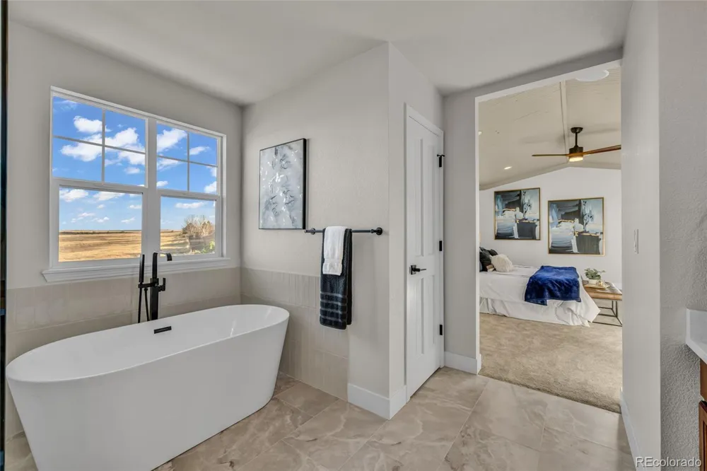 858 Dutton Court Castle Rock, CO 80104