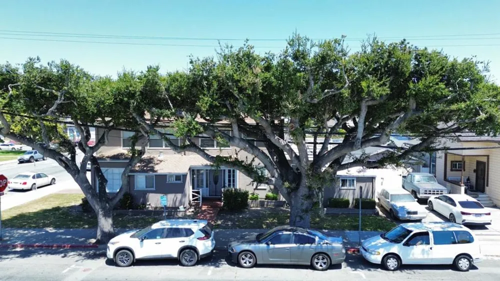 157 Central Avenue Salinas, CA 93901