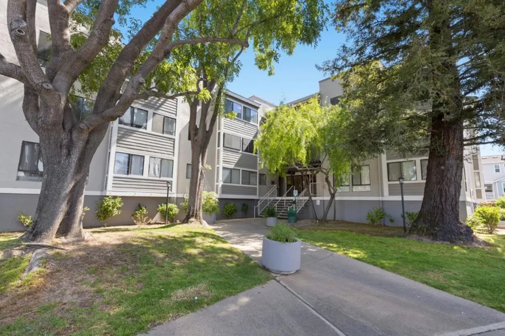 240 Bayshore Boulevard #315 San Mateo, CA 94401