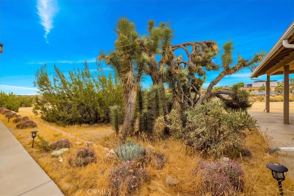 5281 Wallaby Yucca Valley, CA 92284