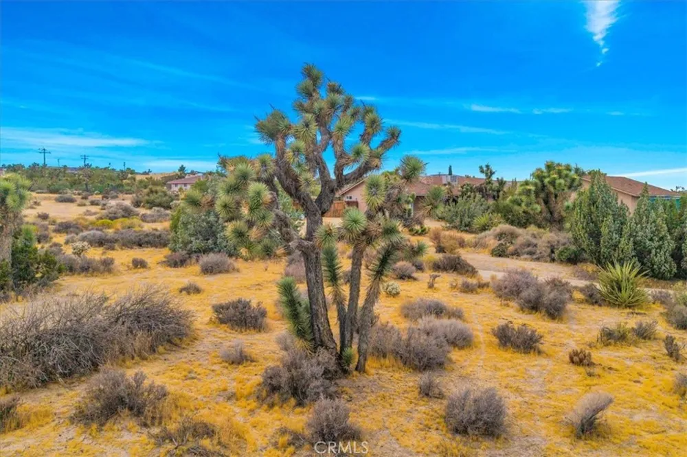 5281 Wallaby Yucca Valley, CA 92284