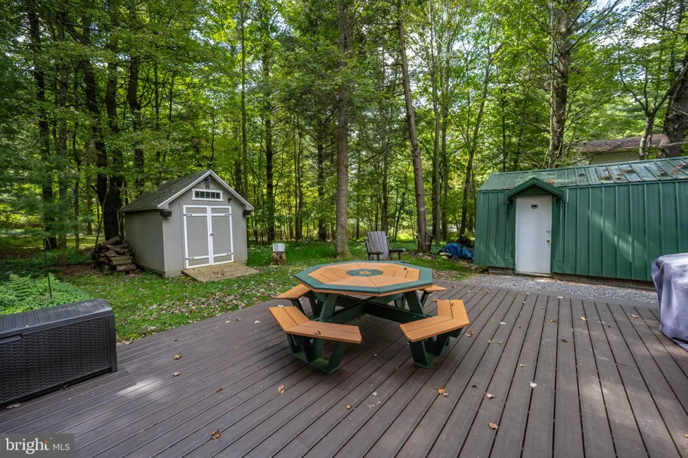 1021 SKY VALLEY DRIVE Swanton, MD 21561
