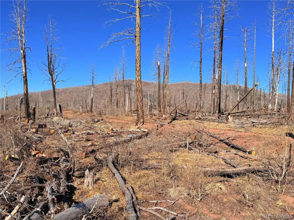 LOT 2213 Burnett Lane Fort Garland, CO 81133