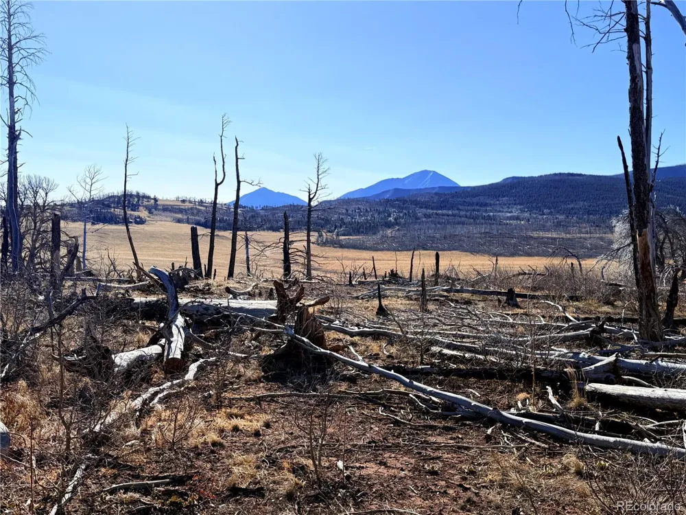 LOT 2213 Burnett Lane Fort Garland, CO 81133