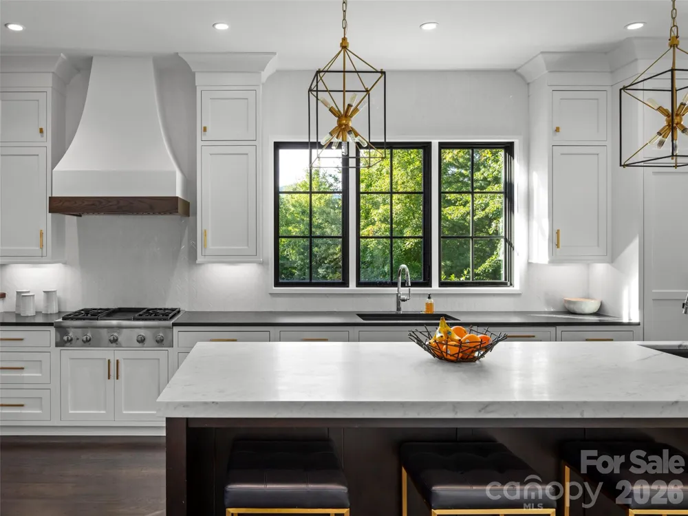 3 Bear Flower Trail Arden, NC 28704