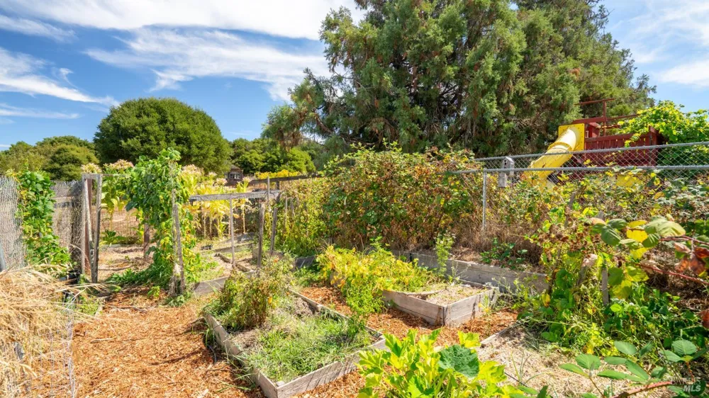 111 Haverfield Lane Petaluma, CA 94952