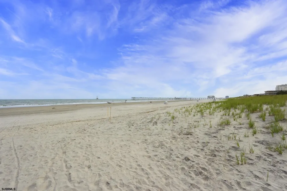 111 S Dudley Ave Ventnor, NJ 08406