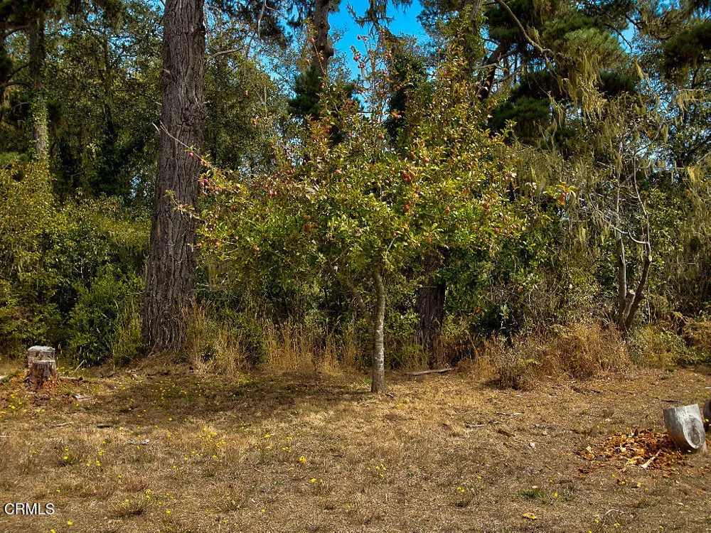 32840 Boice Lane Fort Bragg, CA 95437