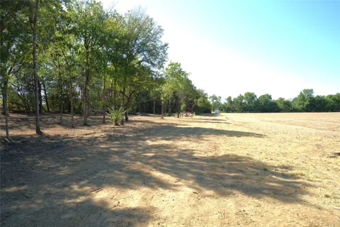 77 County Road 42351