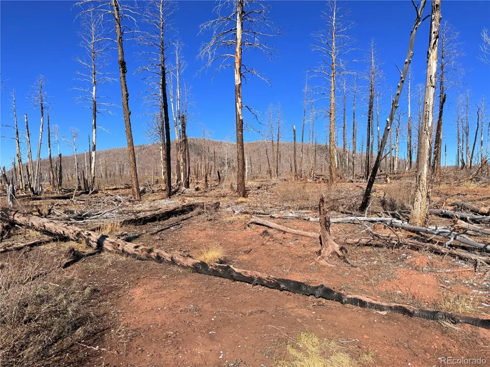LOT 2210 Burnett Lane Fort Garland, CO 81133