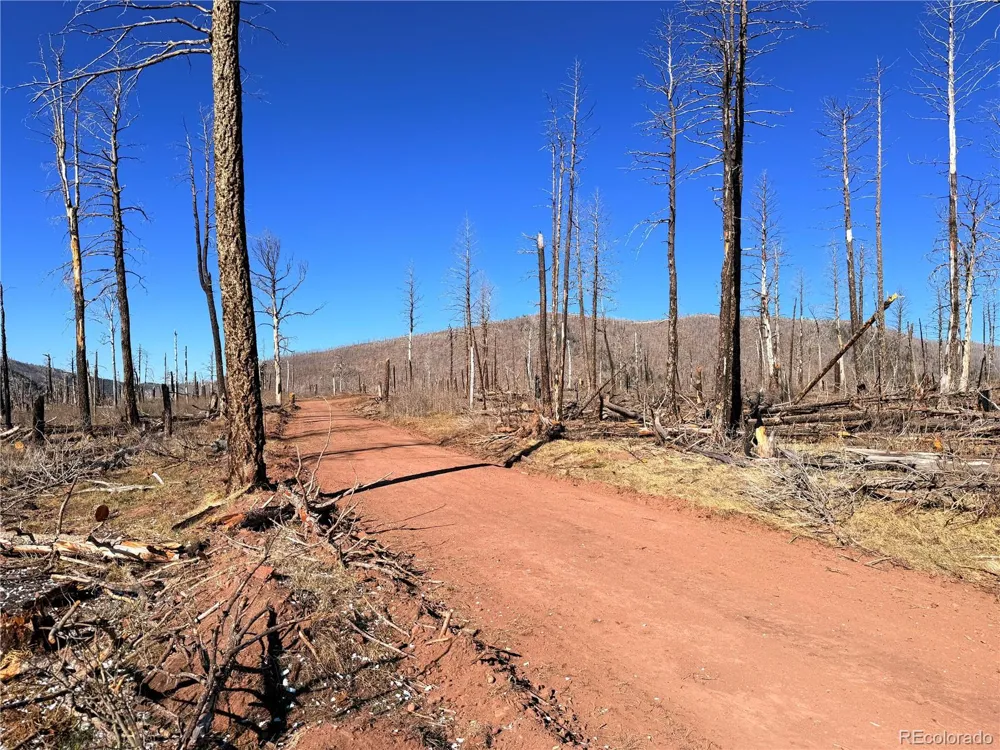 LOT 2210 Burnett Lane Fort Garland, CO 81133