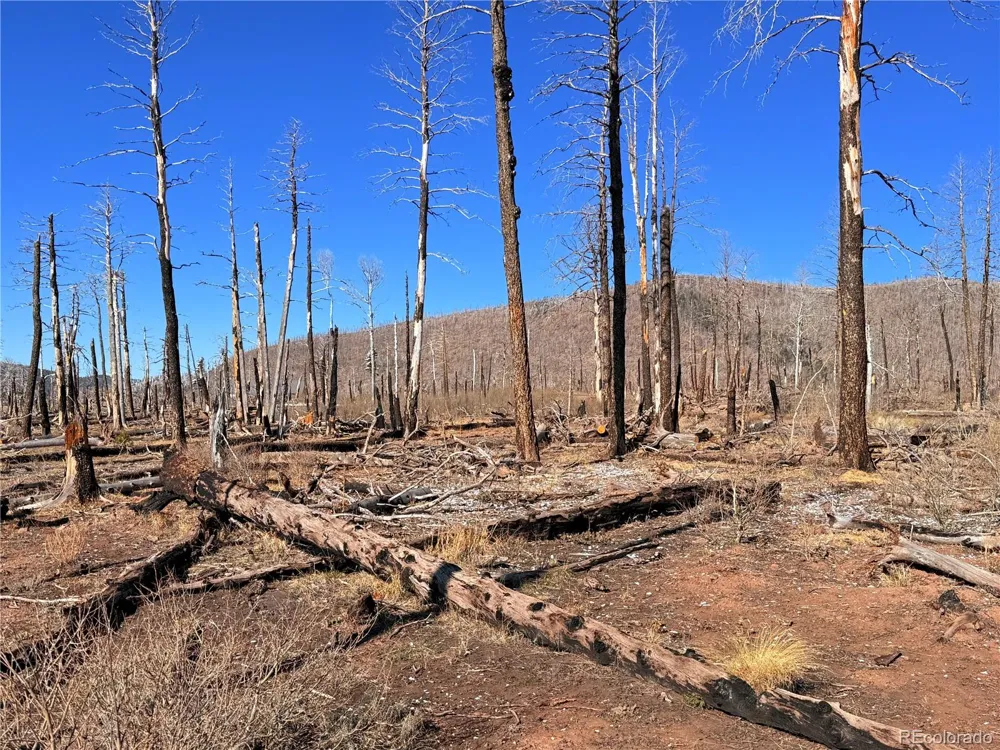 LOT 2212 Burnett Lane Fort Garland, CO 81133