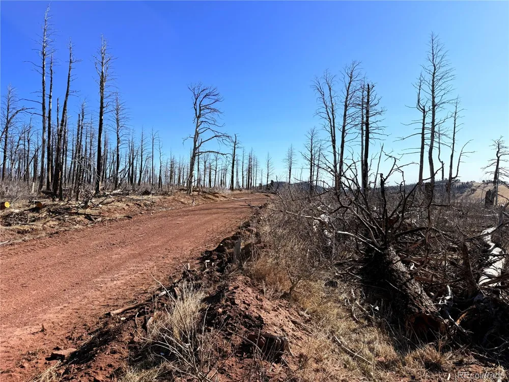 LOT 2212 Burnett Lane Fort Garland, CO 81133