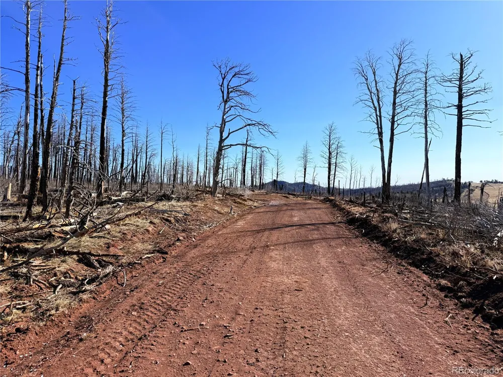 LOT 2212 Burnett Lane Fort Garland, CO 81133