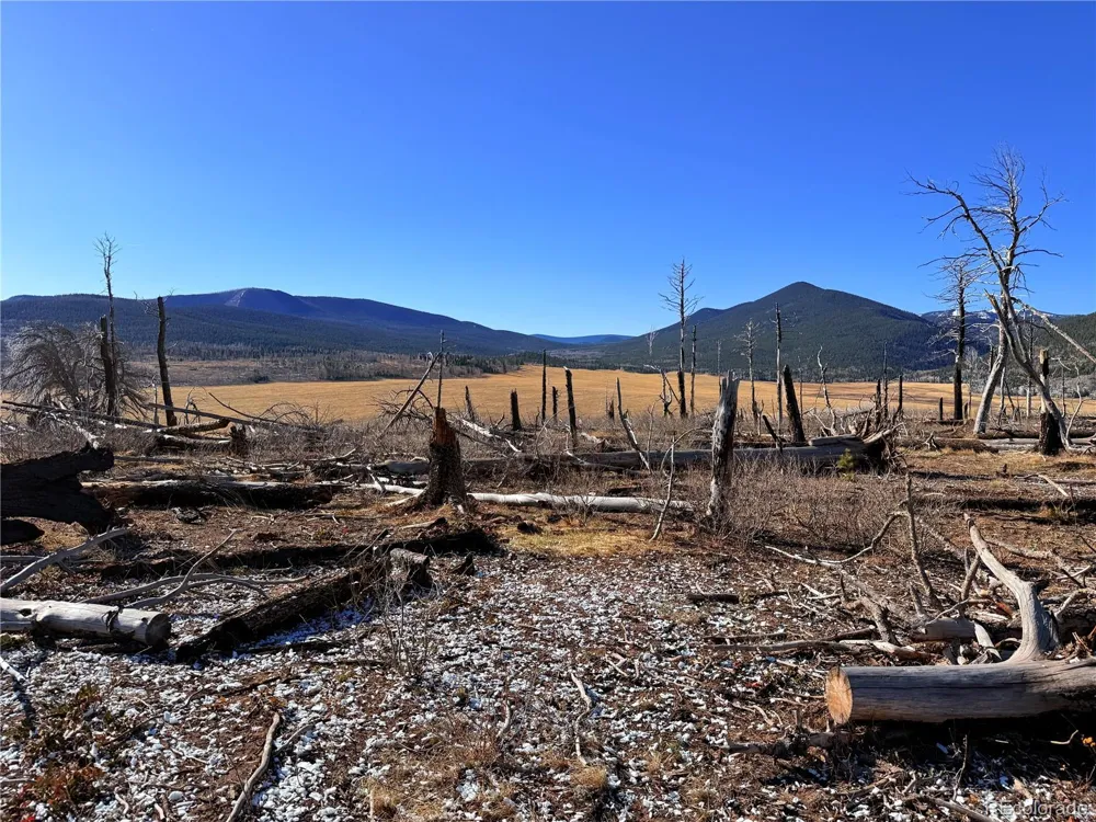 LOT 2209 Burnett Lane Fort Garland, CO 81133