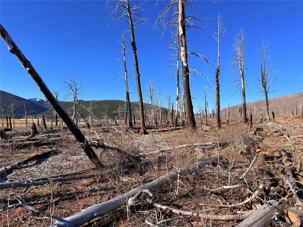 LOT 2209 Burnett Lane Fort Garland, CO 81133