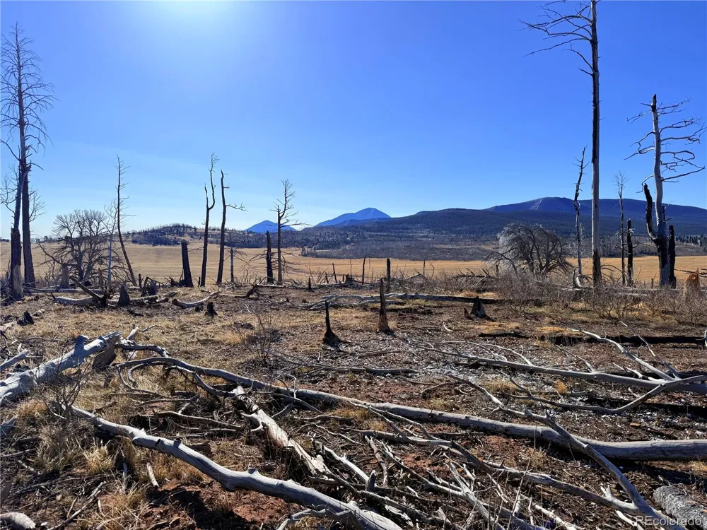 LOT 2209 Burnett Lane Fort Garland, CO 81133