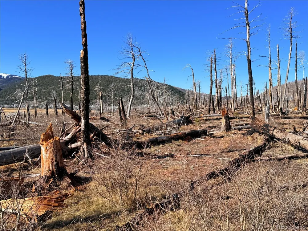 LOT 2211 Burnett Lane Fort Garland, CO 81133