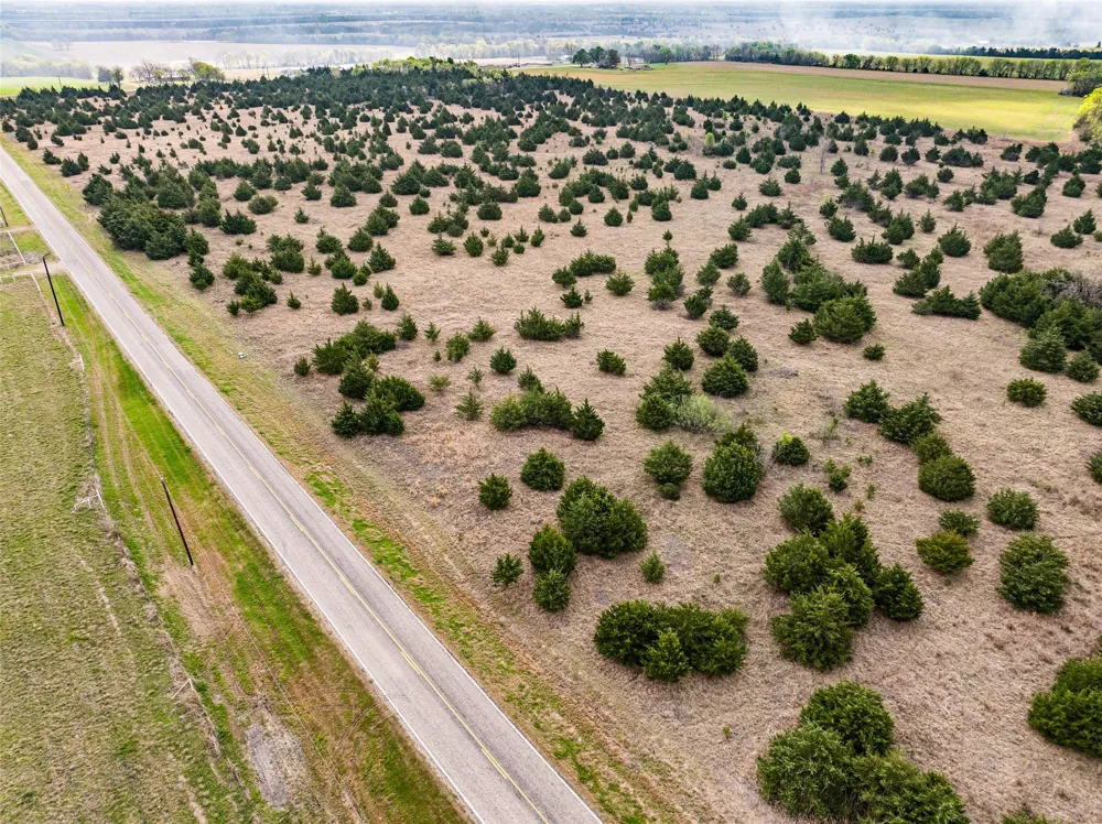 FM 128 Cooper, TX 75432