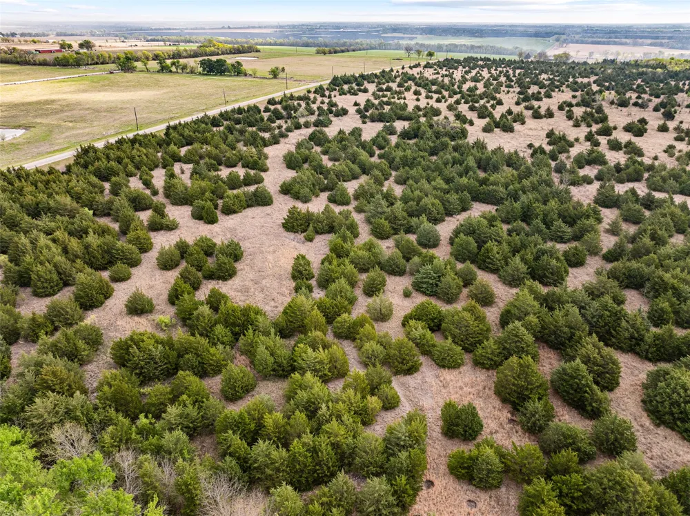 FM 128 Cooper, TX 75432