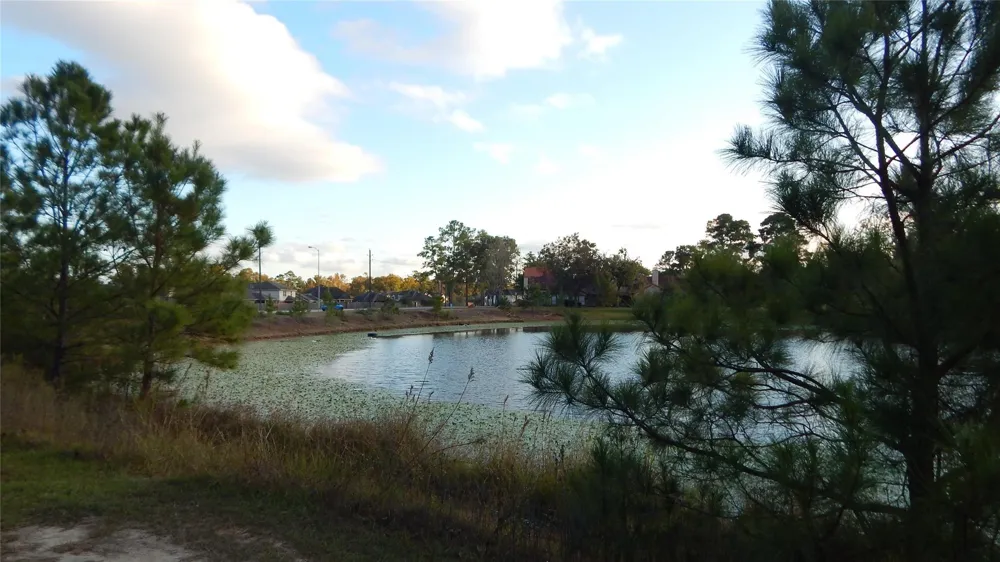427 Vane Way Crosby, TX 77532