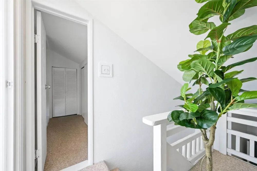 318 Juniper Avenue #10 Carlsbad, CA 92008