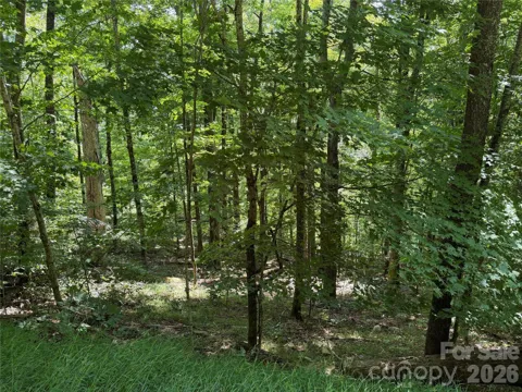 00 Chestnut Village Lane