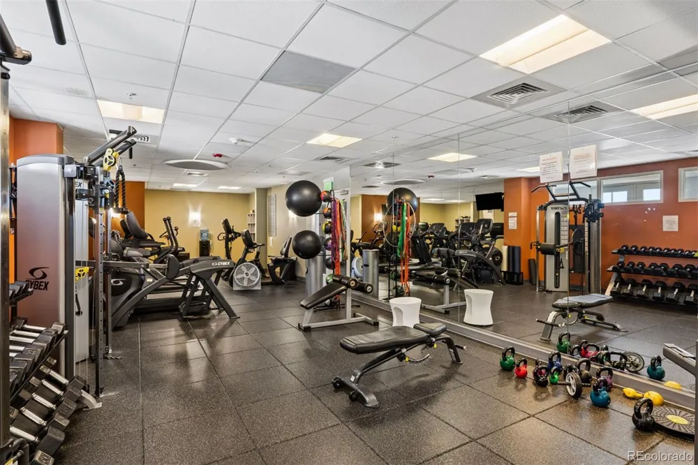 410 Acoma Street #305 Denver, CO 80204