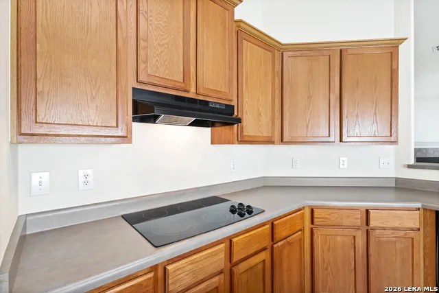 24415 FLINT CRK San Antonio, TX 78255