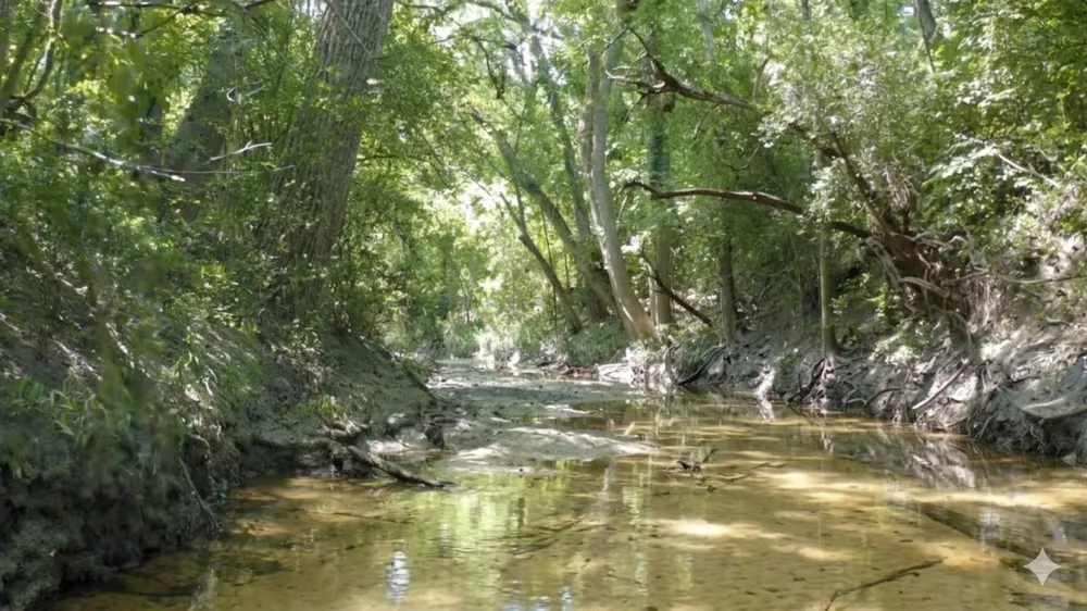Fm 390 Brenham, TX 77833