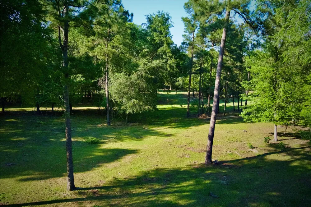 59 Beaconsfield Drive Magnolia, TX 77355