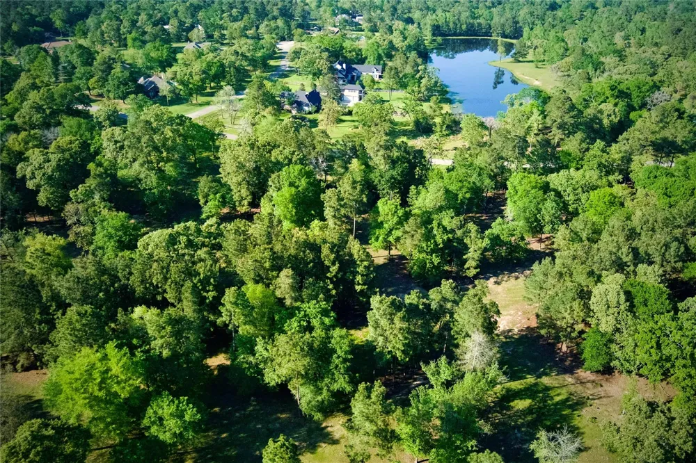 59 Beaconsfield Drive Magnolia, TX 77355