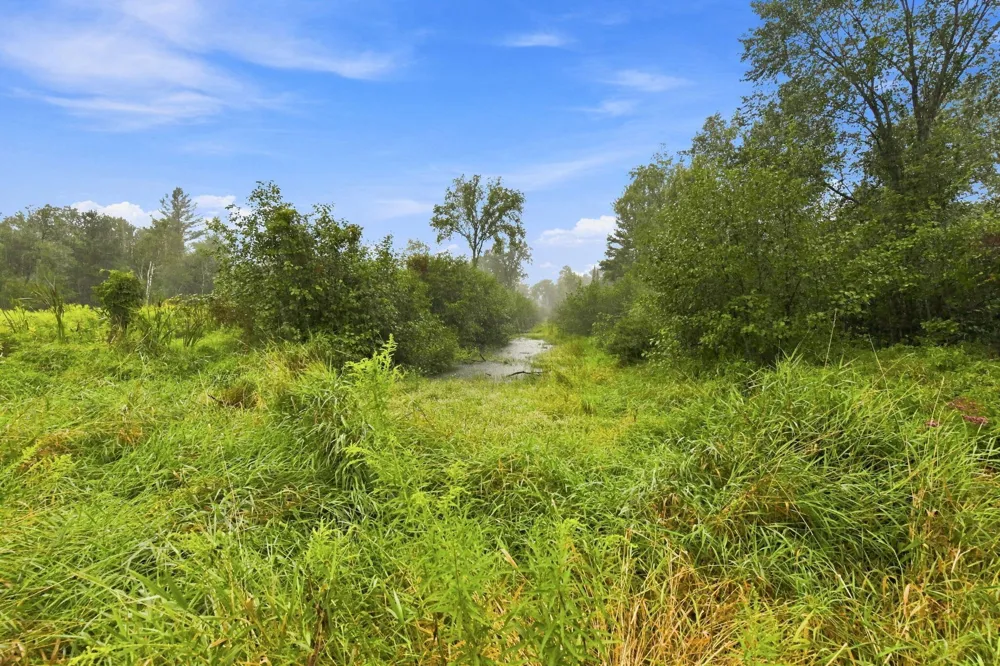 2646 S National City Road National City, MI 48748