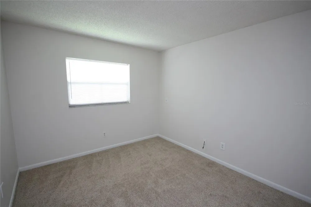 17839 SUNRISE DRIVE Lutz, FL 33549