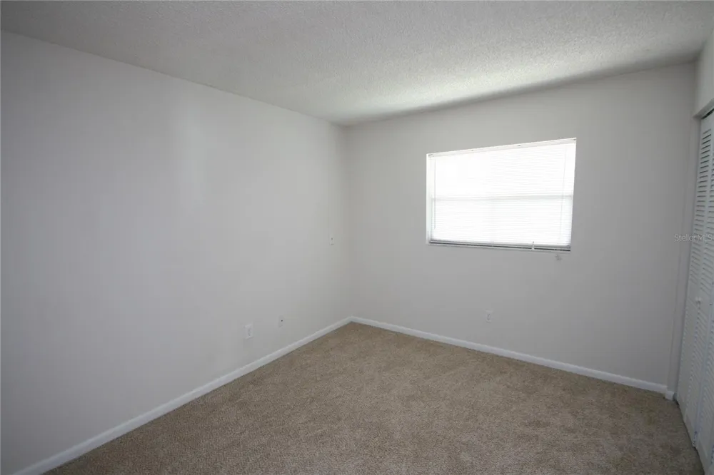 17839 SUNRISE DRIVE Lutz, FL 33549