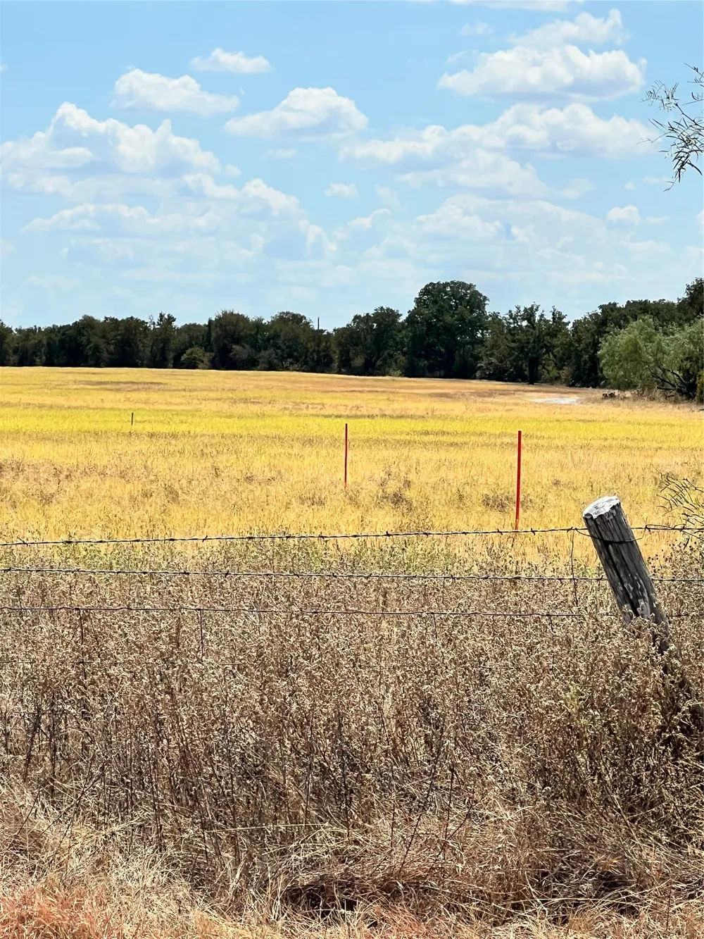 Wolf Hollow Millsap, TX 76066