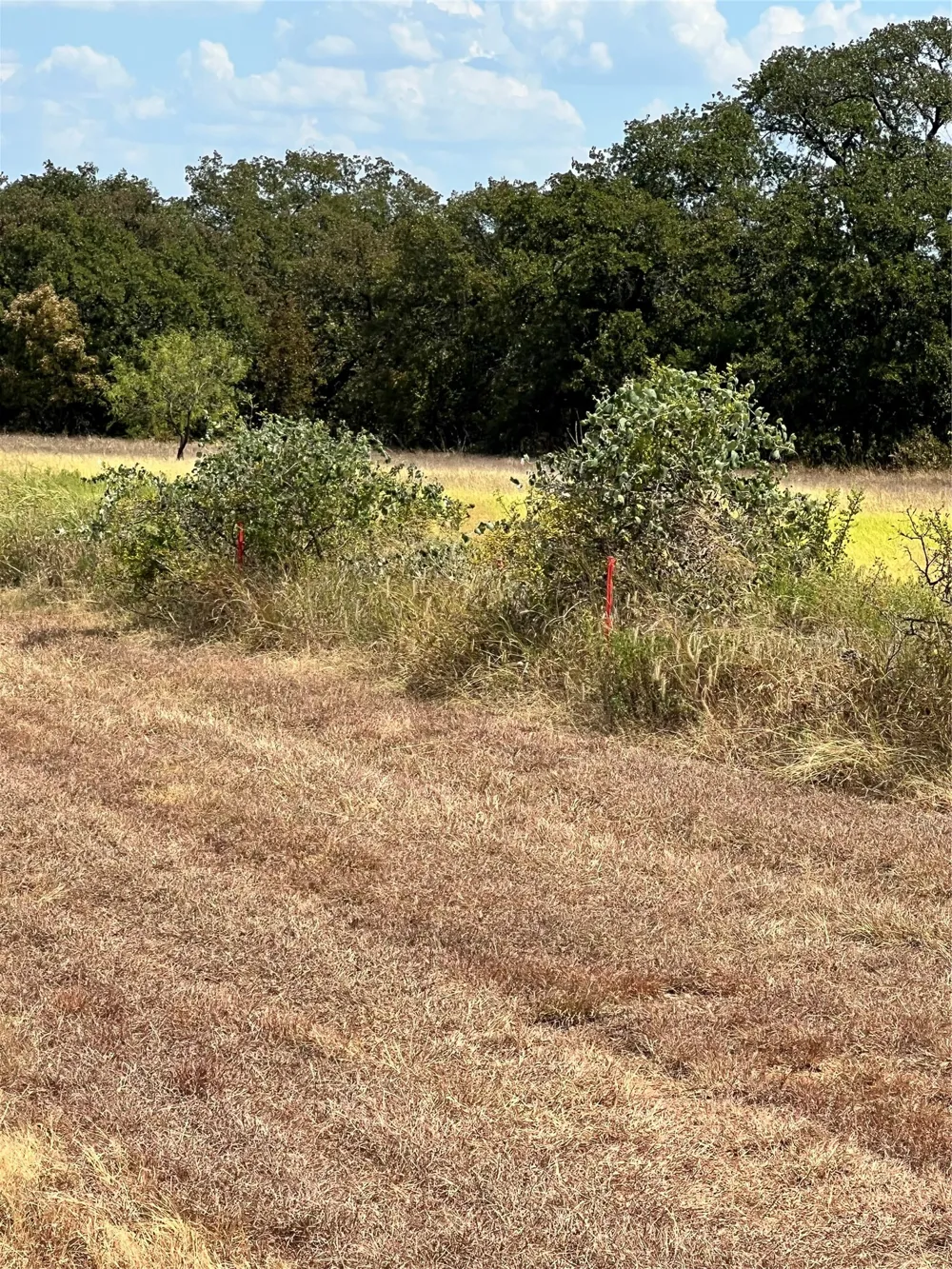 Wolf Hollow Millsap, TX 76066