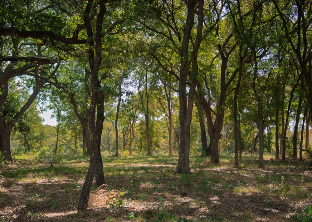 1213 Caballo Aledo, TX 76008