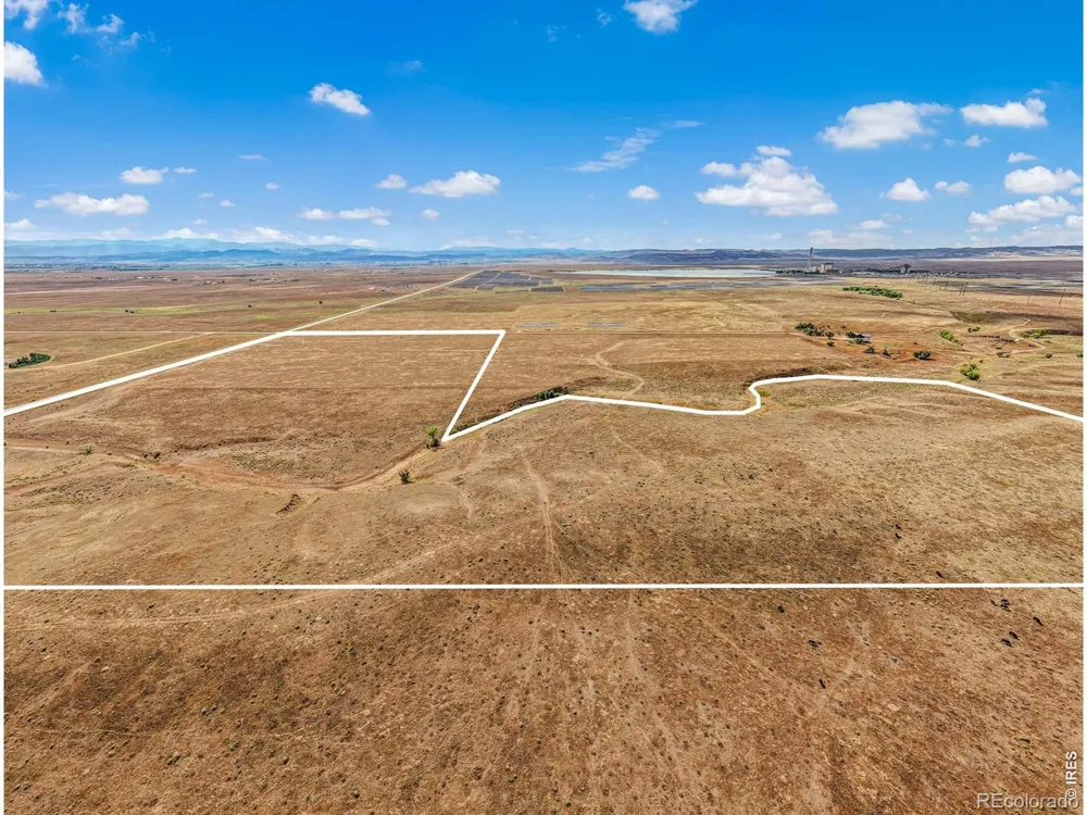 Buckeye Rd Wellington, CO 80549