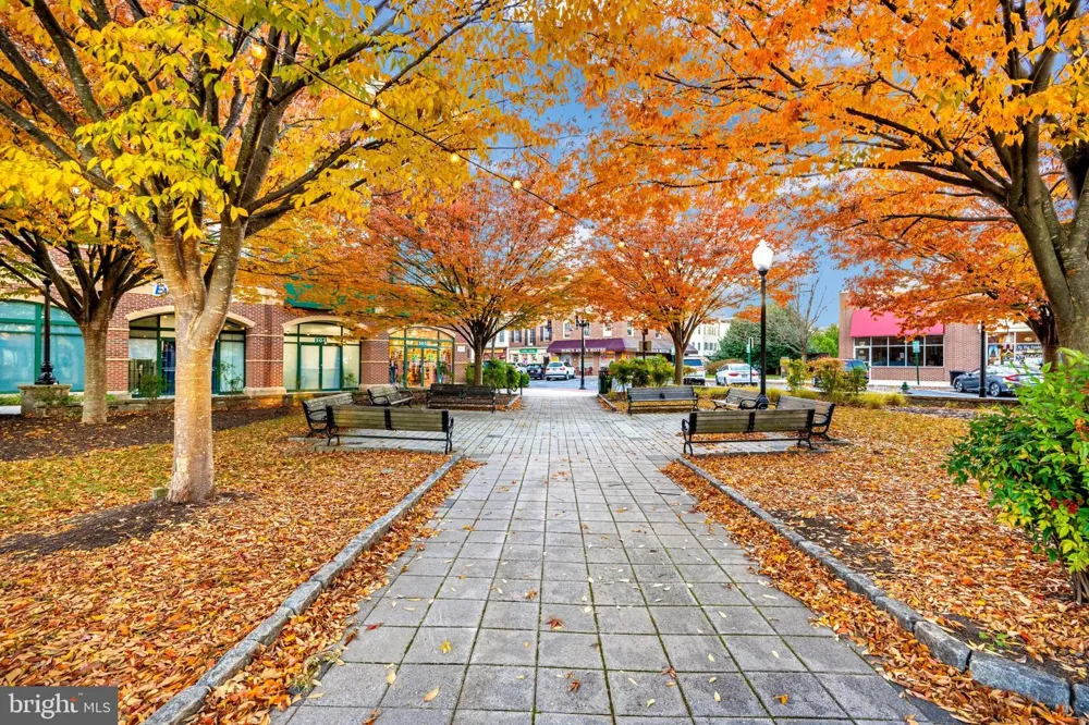 110 CHEVY CHASE STREET #406 Gaithersburg, MD 20878