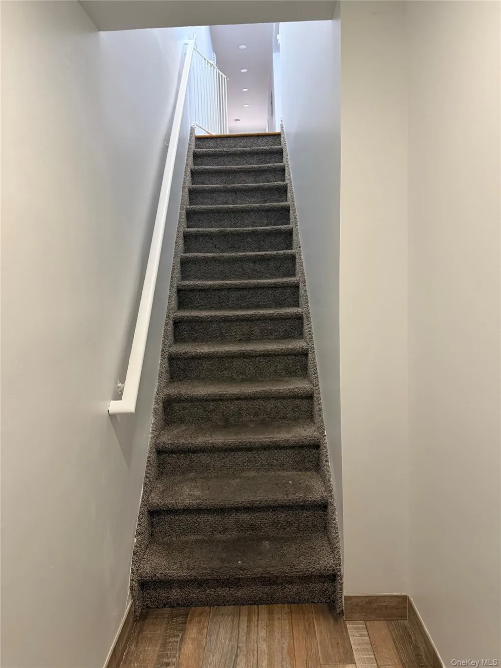 762 E 234th Street #3 Bronx, NY 10466
