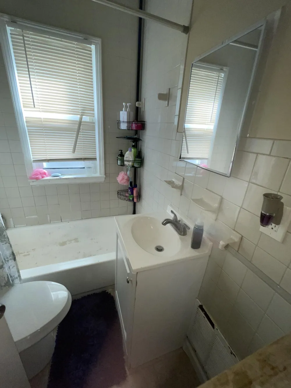 3345 Doris Street Detroit, MI 48238