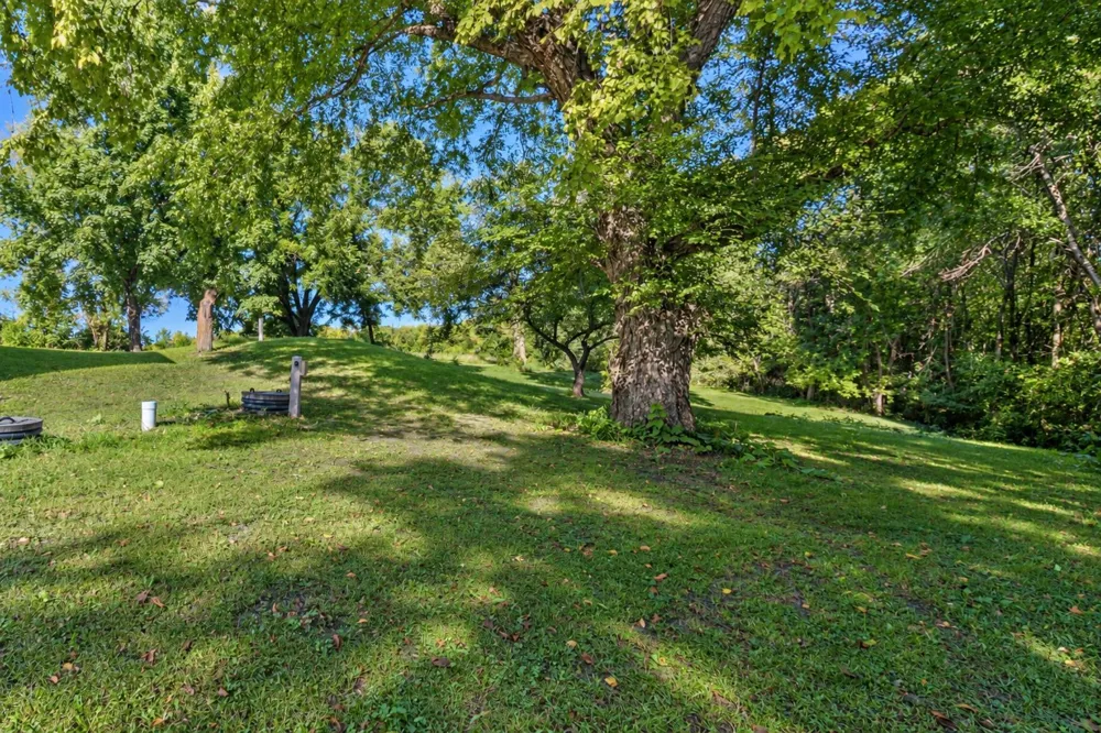 1011 Cordova Avenue Le Center, MN 56057