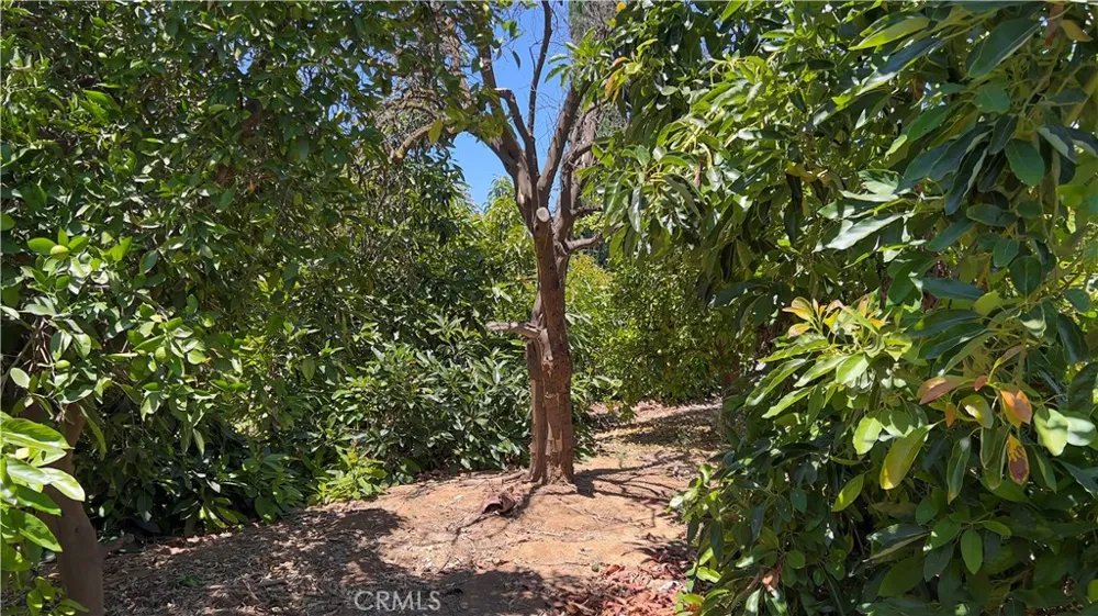 8715 Dufferin Riverside, CA 92504