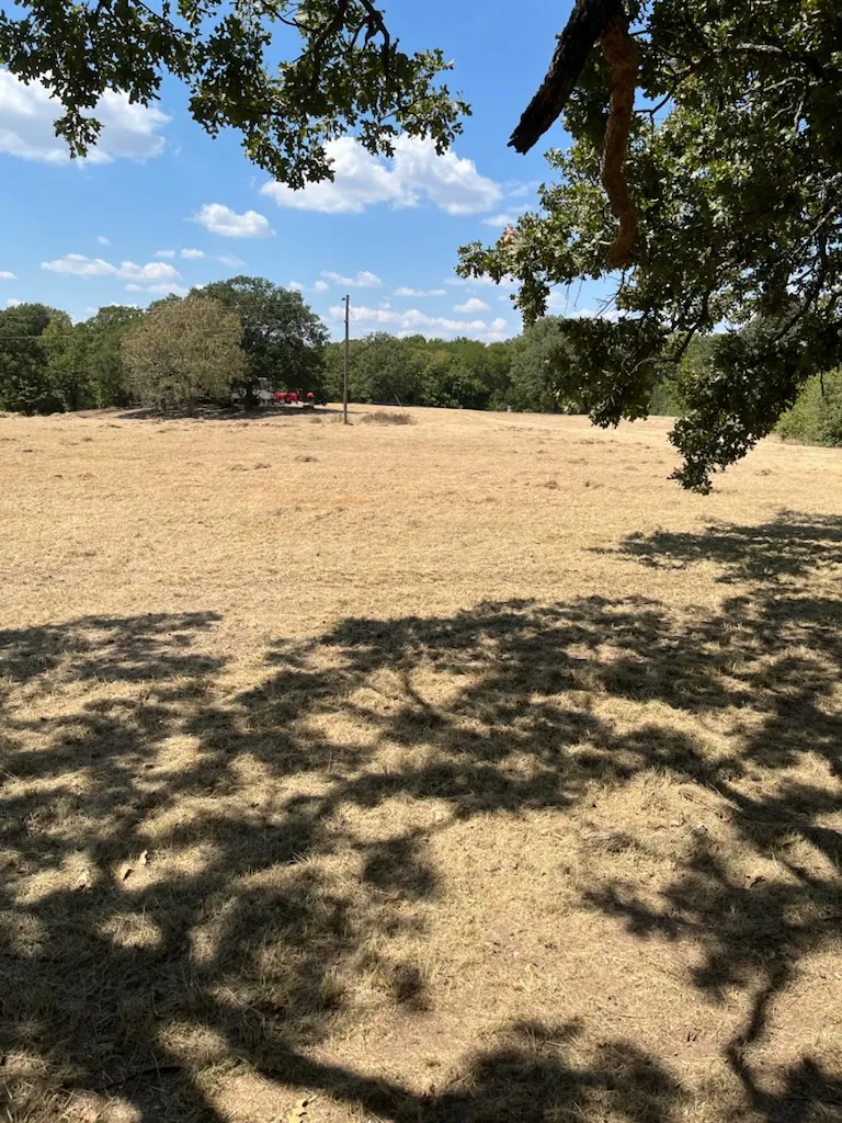 Hwy 177 Dickson, OK 73401